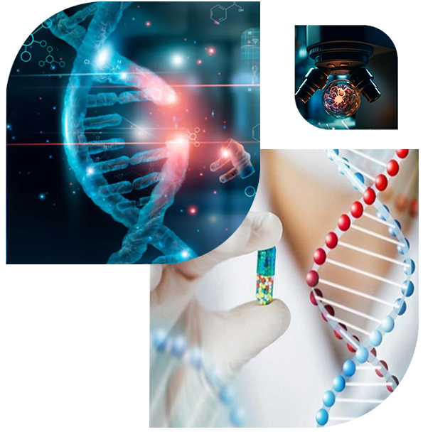 About Image